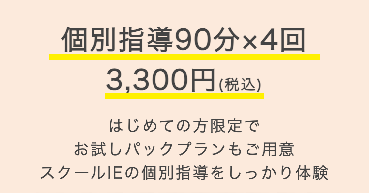 個別指導90分×4回
3,300円 (税込)
はじめての方限定で
お試しパックプランもご用意
スクールIEの個別指導をしっかり体験