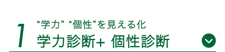 1
“学力”“個性”在見元石化
学力診斷+個性診斷